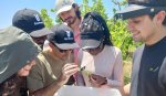 Erasmus Mundus Joint Master Degree in Plant Health in Sustainable Cropping Systems(EMJM PlantHealth)